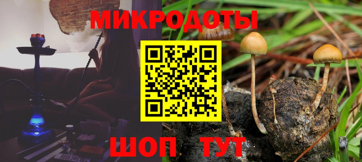 Псилоцибиновые грибы MAGIC MUSHROOMS  Вход с VPN  купить  цена  Черняховск 