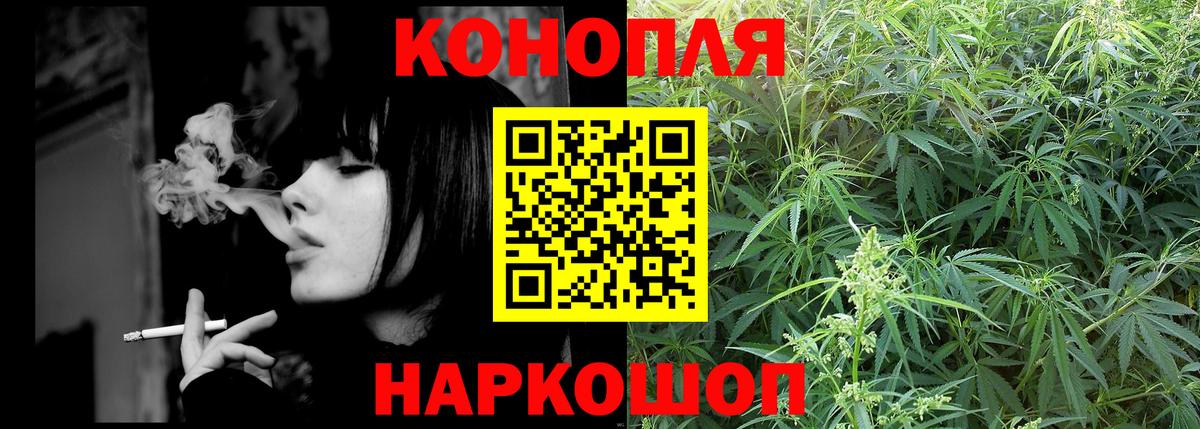 Бошки марихуана THC 21% Черняховск